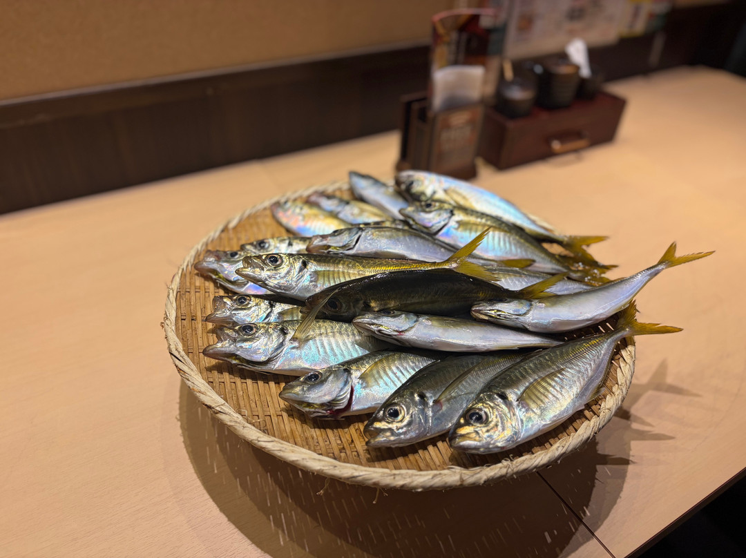 ATSUKU Japan Fishing Experience Host-Enoshima必去景点