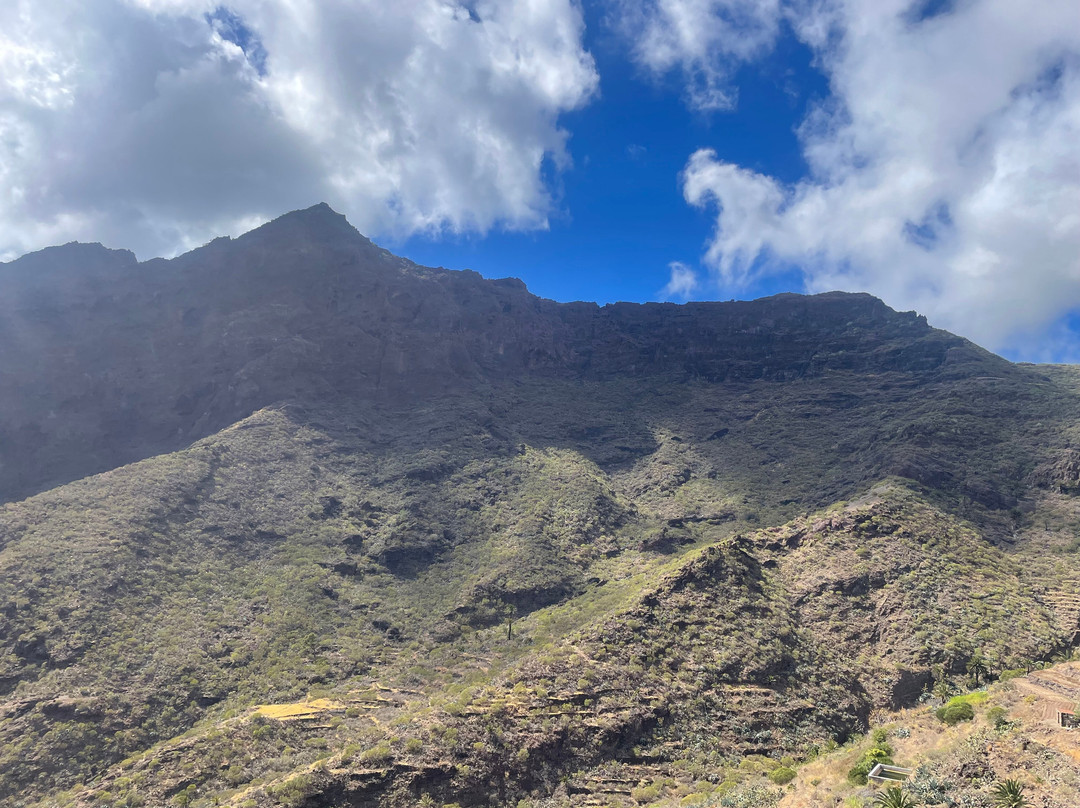 Natural Park of Teno-特纳里夫必去景点