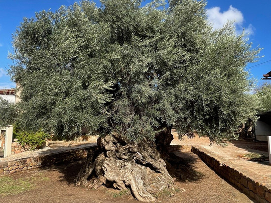 SKY & THALASSA-克里特岛必去景点