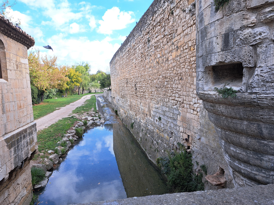 Porte Notre Dame