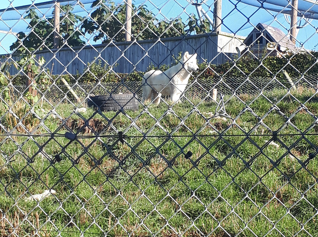 Lincoln Zoo-Newball必去景点