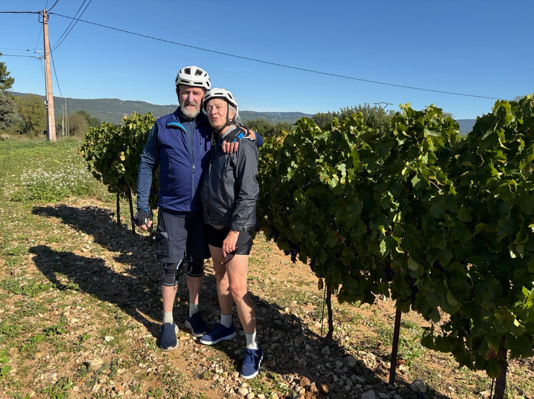 Provence Cycling Holidays主图