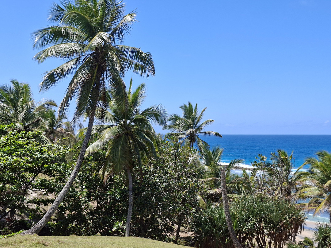 Piscine Naturelle d’Ambodiatafana-Nosy Boraha必去景点