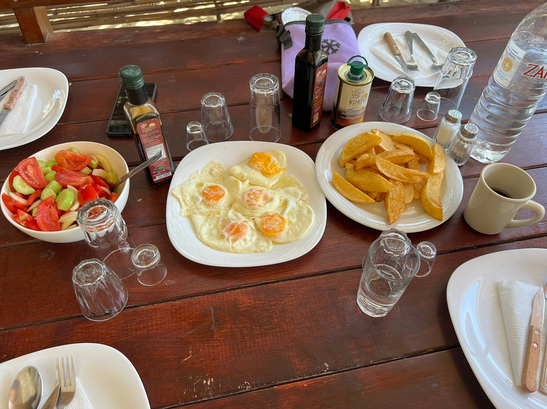 Kamihis Farm-Zaros必去景点