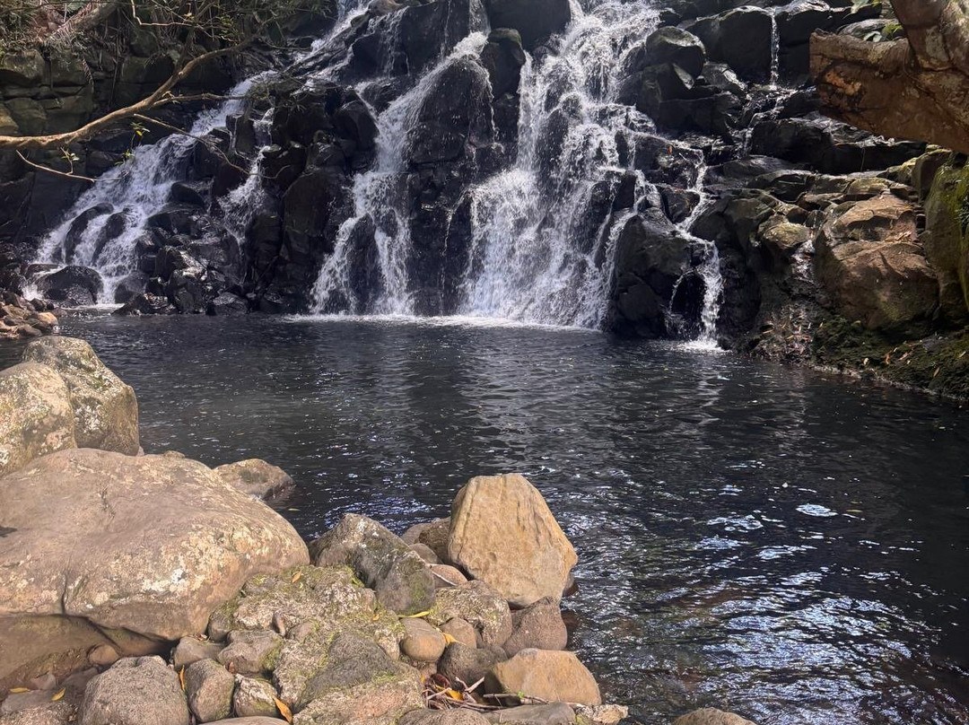 Vallé Advenature Park-Chamouny必去景点