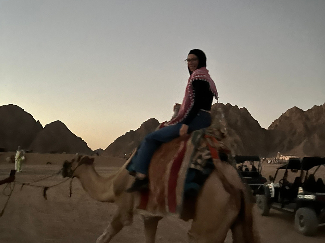 El Sherif Safari-沙姆沙伊赫必去景点