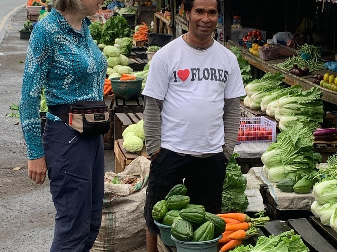 Lingko Spider Web Rice Fields - Walking Tours-Ruteng必去景点