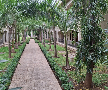 Palm Oasis Resort主图