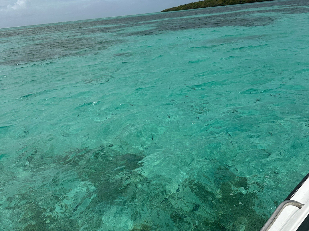 Paradisio Excursions Ile Maurice-大湾必去景点