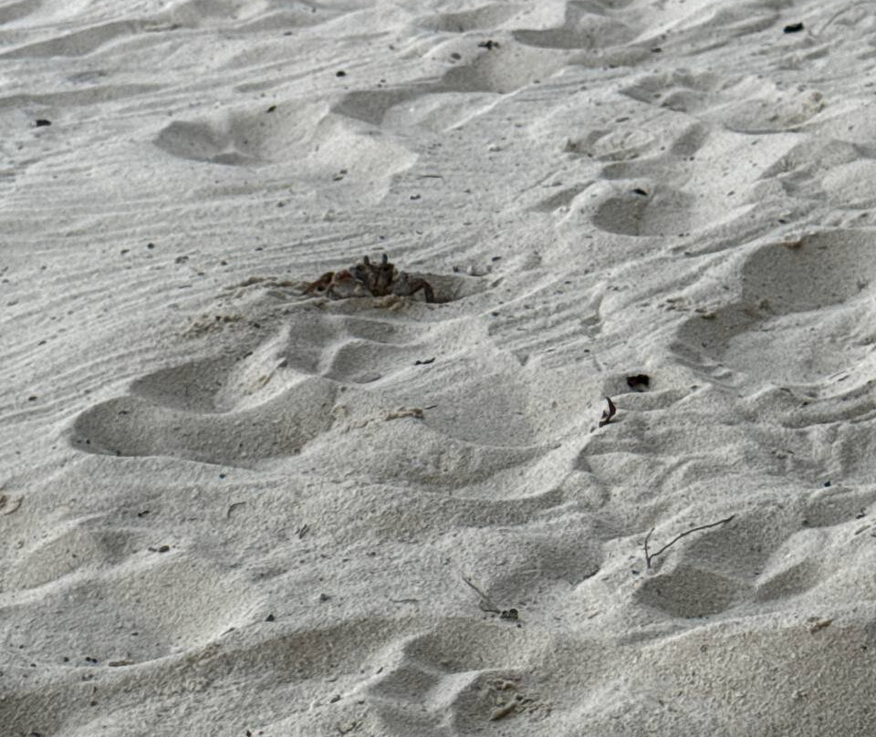 Dhoani Maldives Guesthouse主图