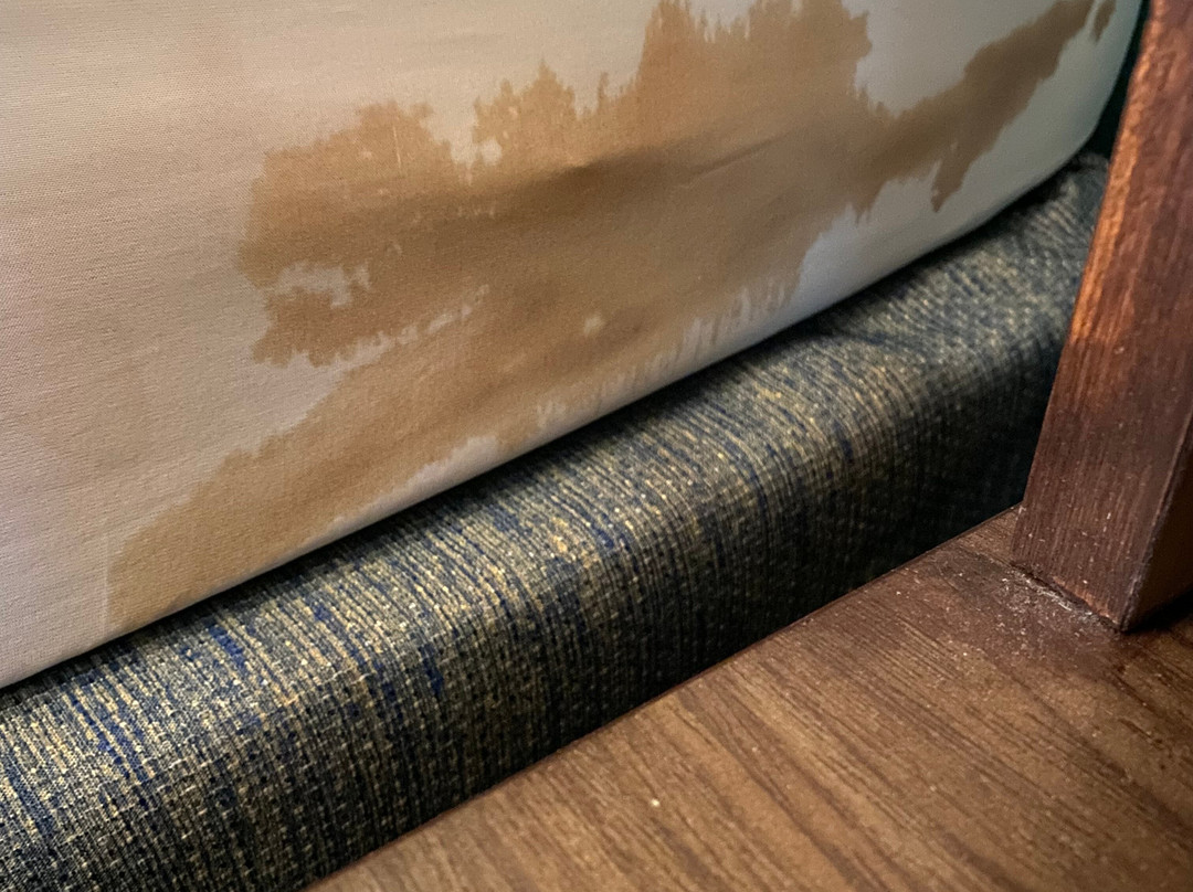 Best Western Plus Harrisburg Mechanicsburg主图