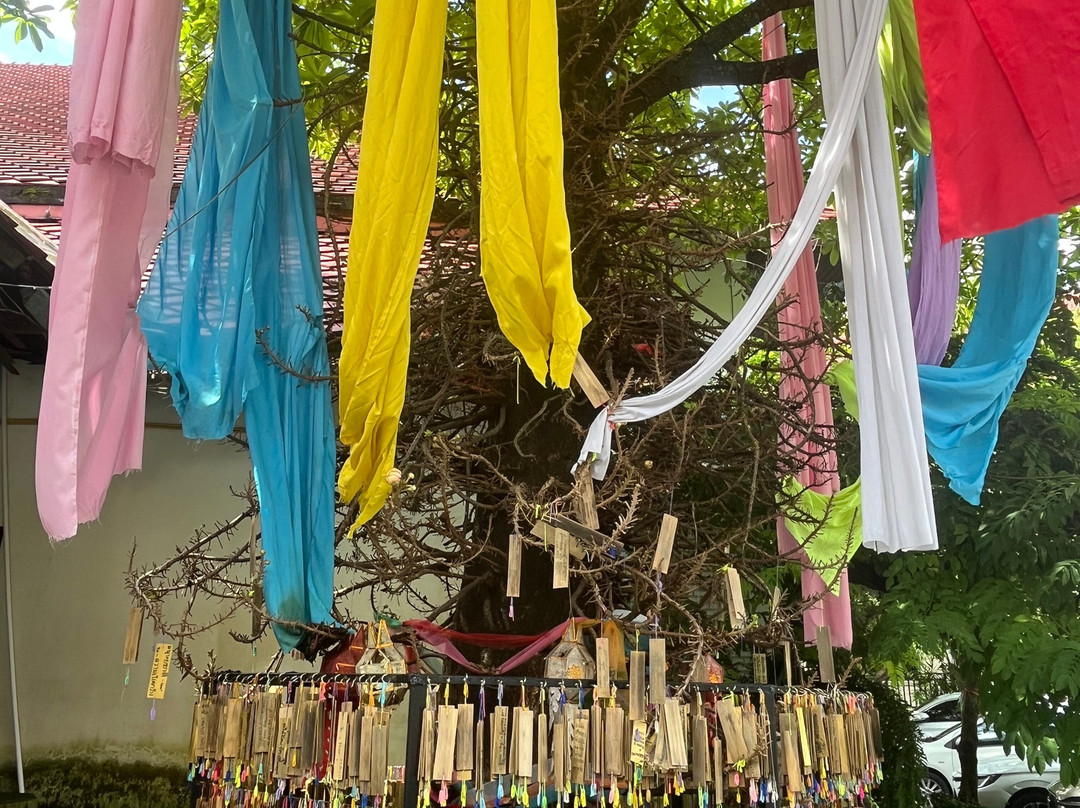 英刹钦寺-清迈必去景点