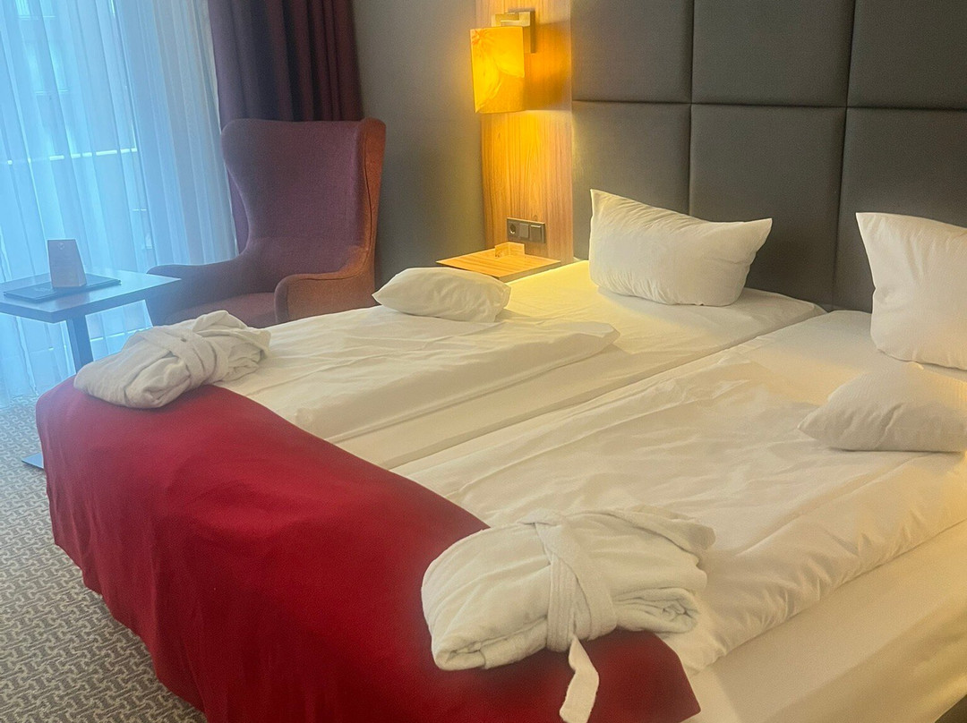 Hotel Sante Royale主图