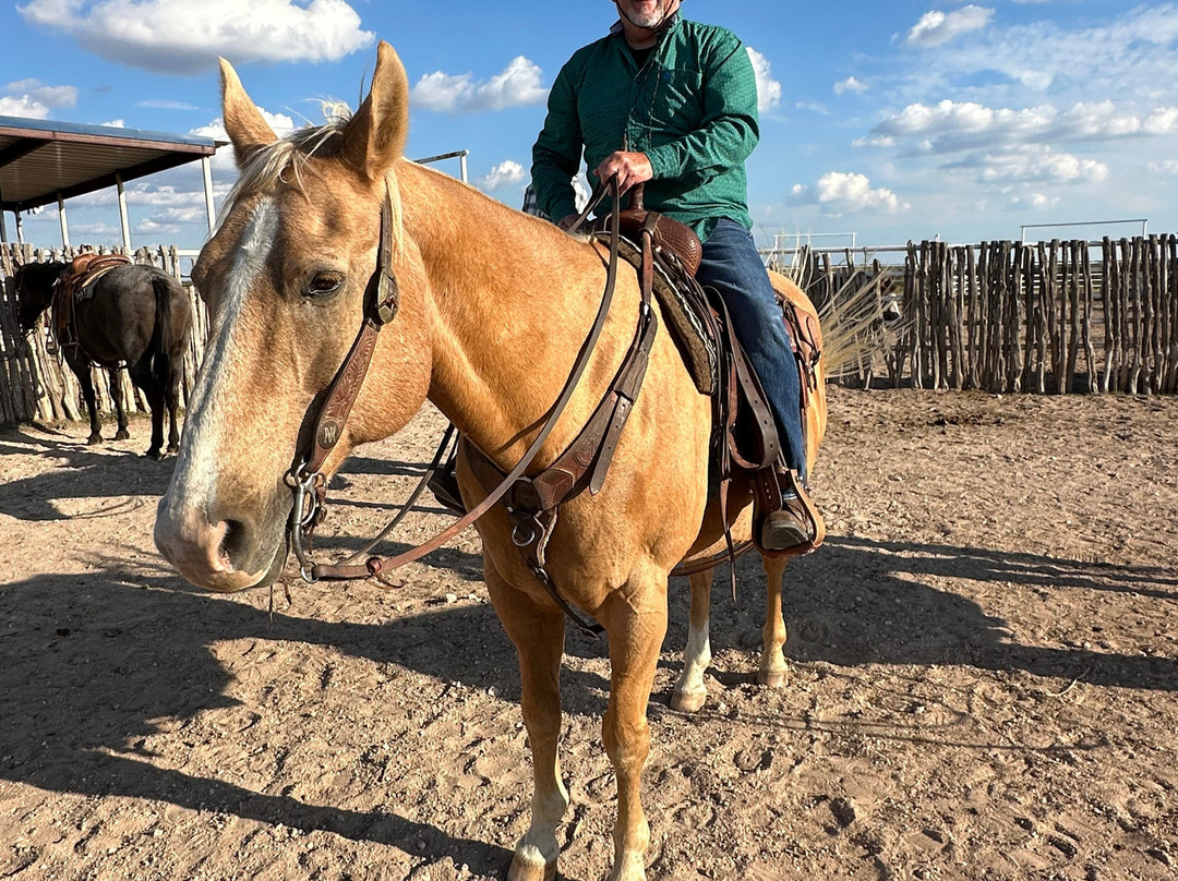 Cowgirls and Cowboys in the West-阿马里洛必去景点