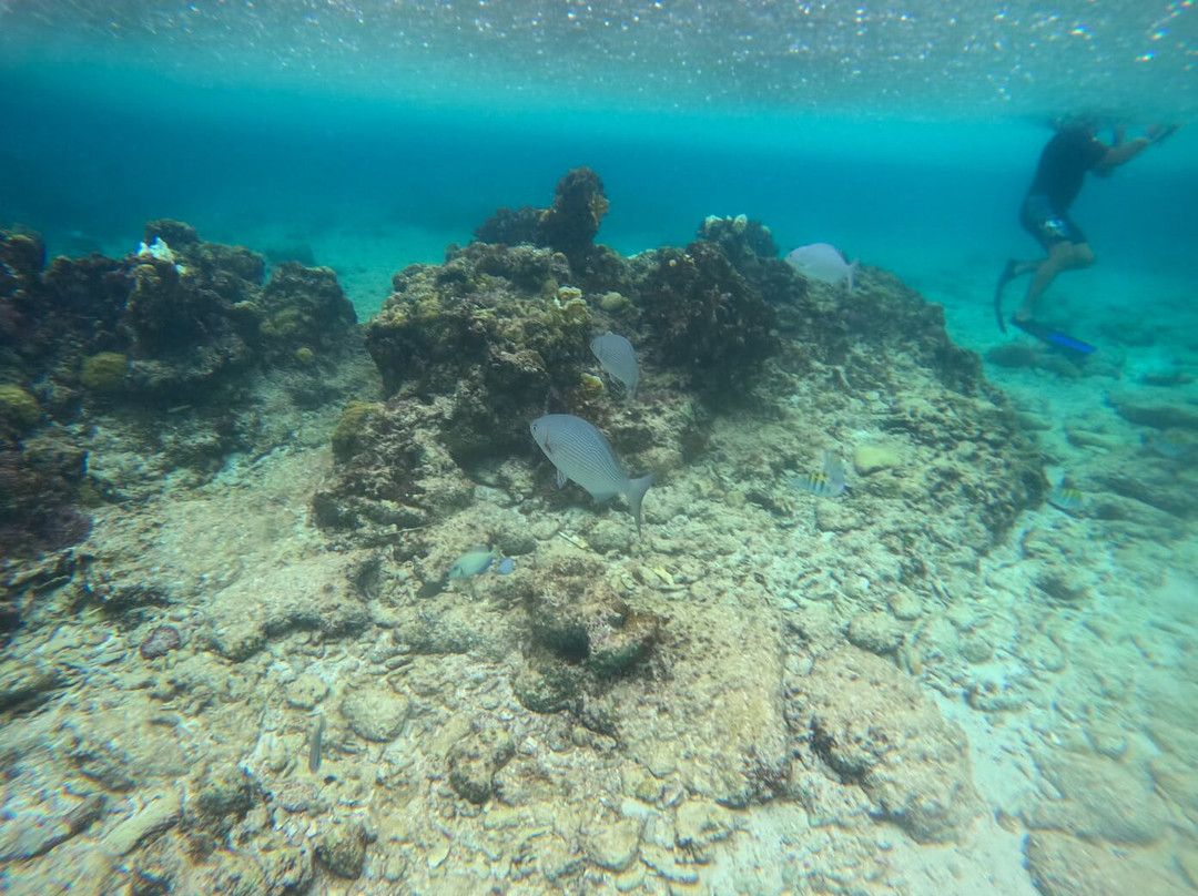 Varadero Diving Tour-Playa Larga必去景点