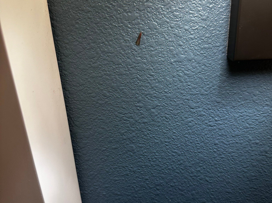 Waterside Suites & Marina主图