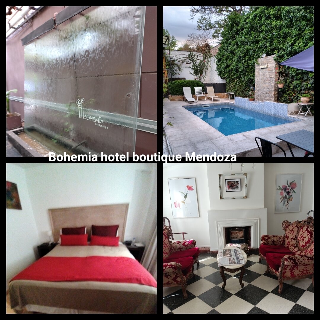 Bohemia Hotel Boutique-官方