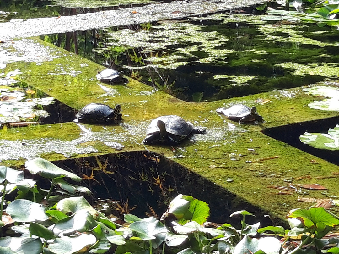 Orto Botanico di Palermo-巴勒莫必去景点