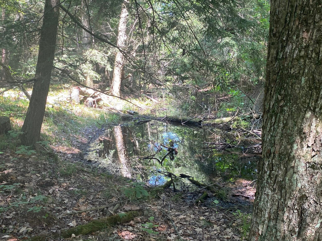 Point Beach State Forest-Two Rivers必去景点