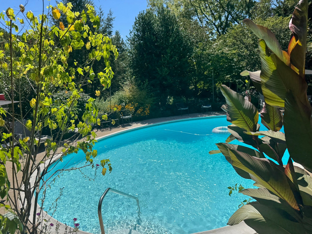 Alpenhof Bed & Breakfast主图