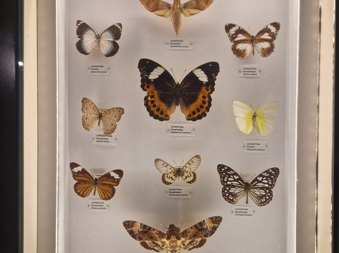 Centro De Ciência Do Café-Campo Maior必去景点