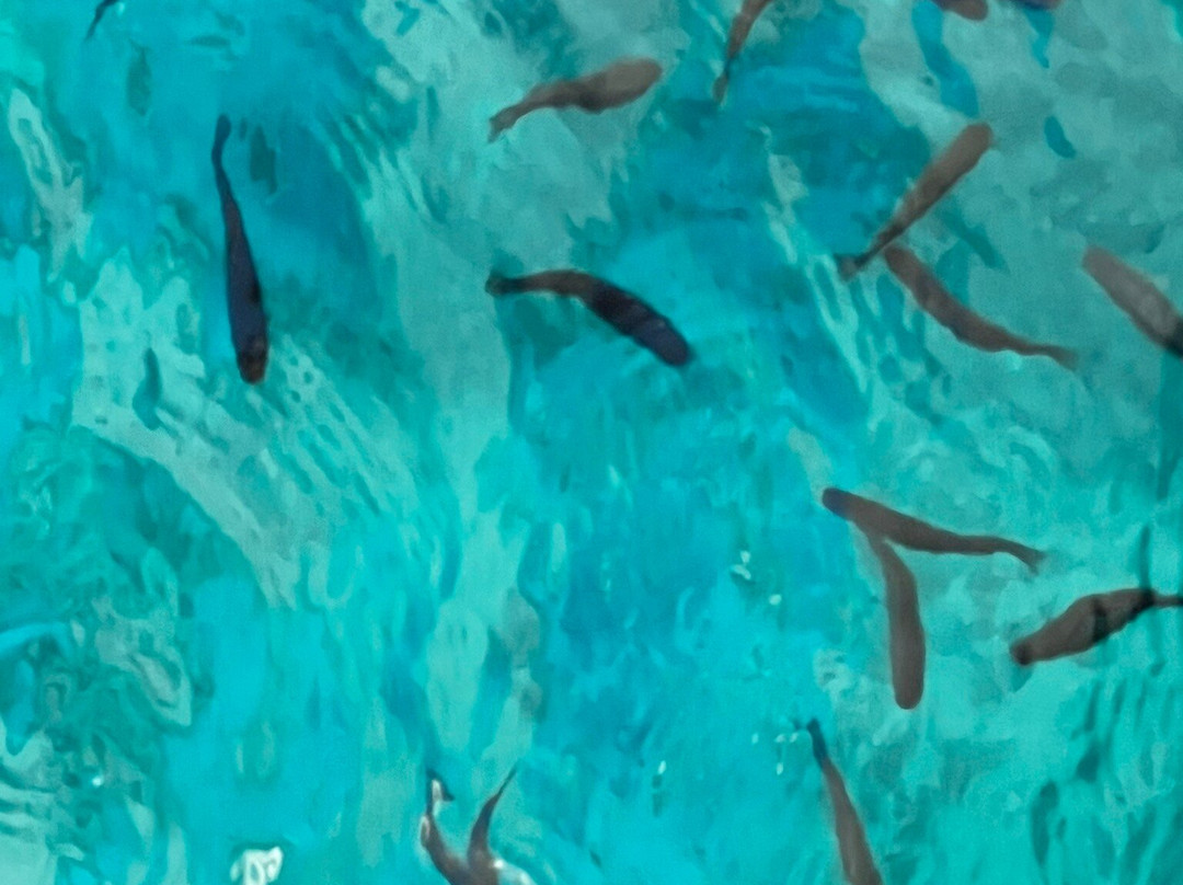 Discovery Bicycle Tours-伍德斯托克必去景点