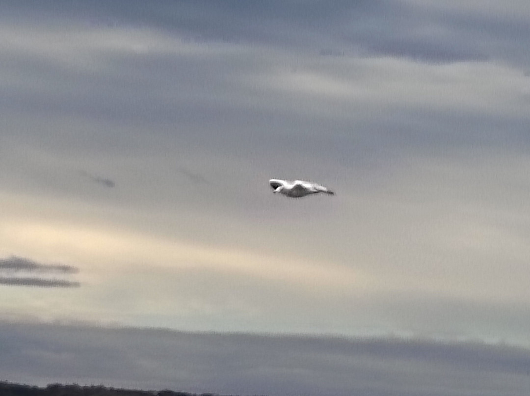 Lodi Point State Park-Lodi必去景点