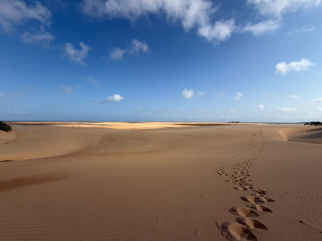 Ricardo Tuor-Piacabucu必去景点
