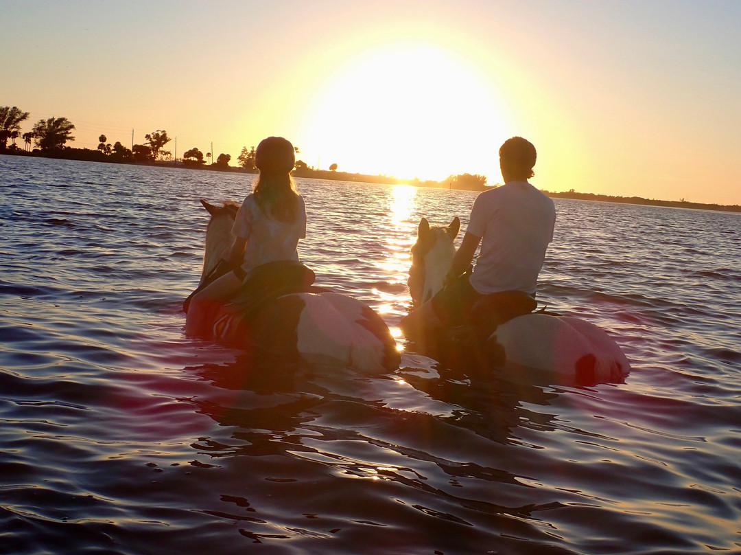C Ponies Beach Horseback Rides-布雷登顿必去景点