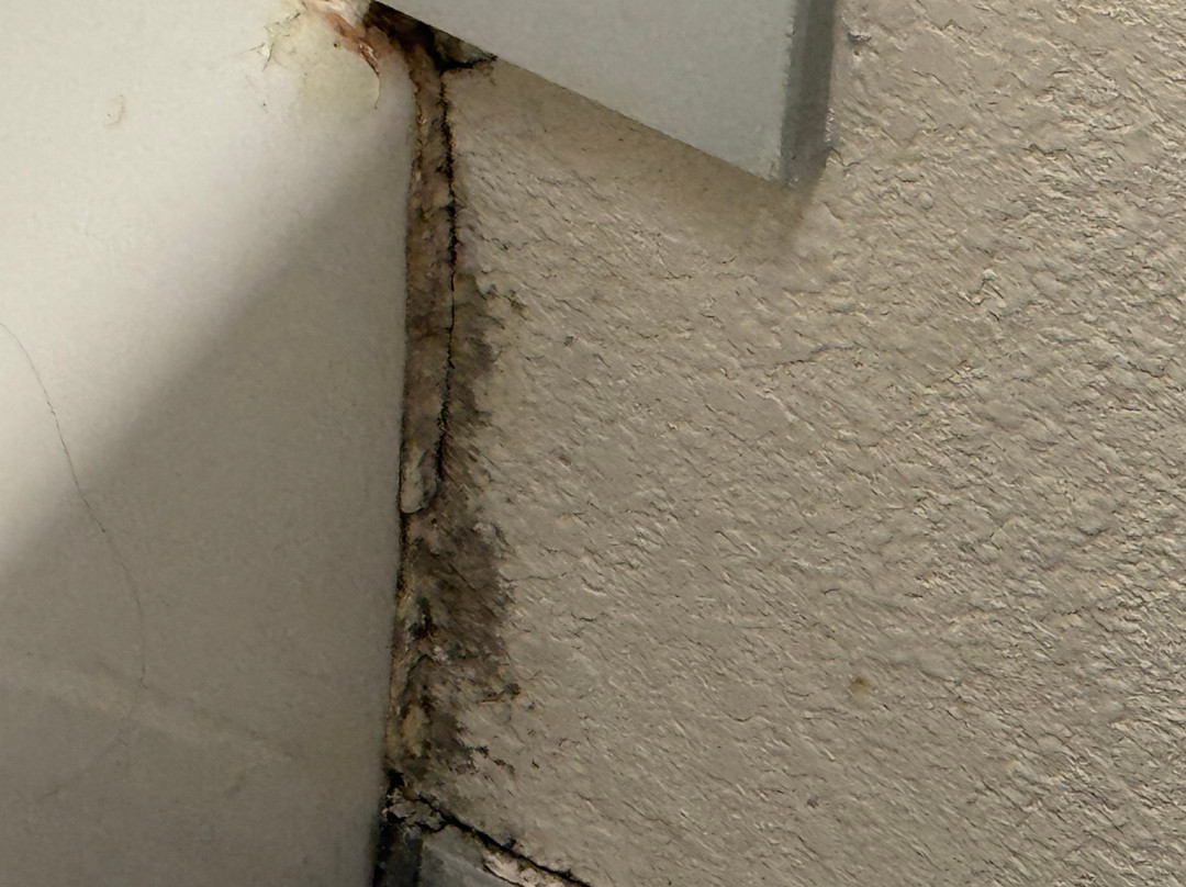 Days Inn by Wyndham Athens Alabama主图