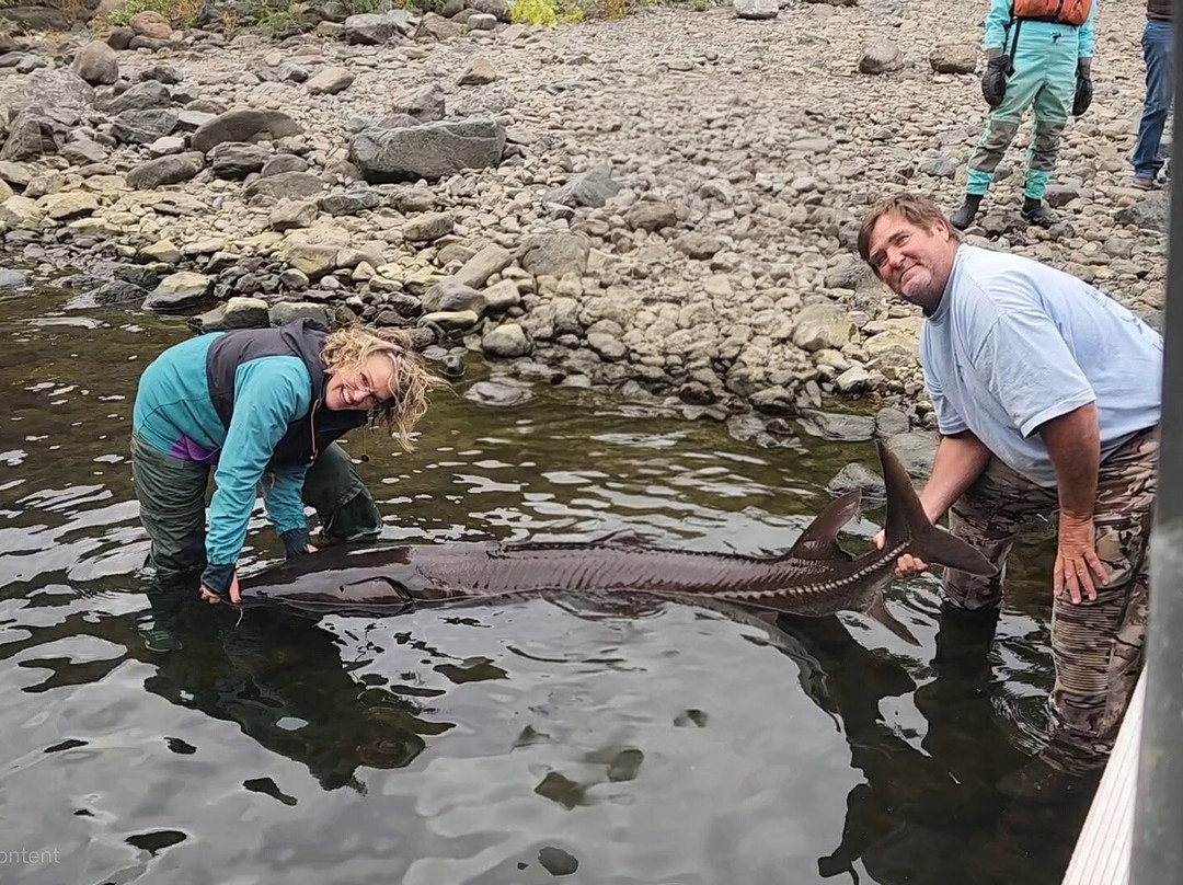 Hammer Down River Excursions-White Bird必去景点