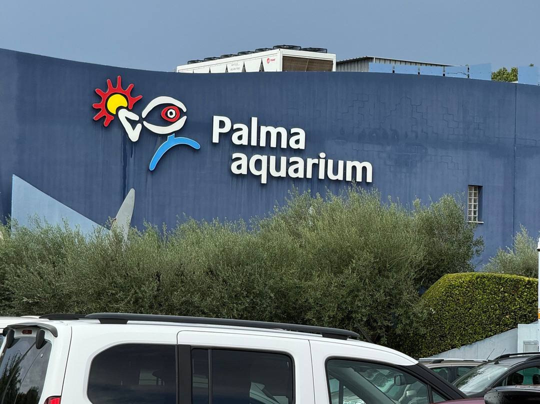 BQ安弗拉海滩酒店主图