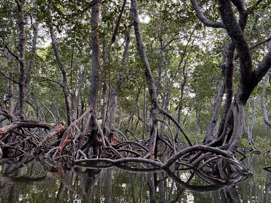 Denim Amico Kenya Safari-瓦塔木必去景点