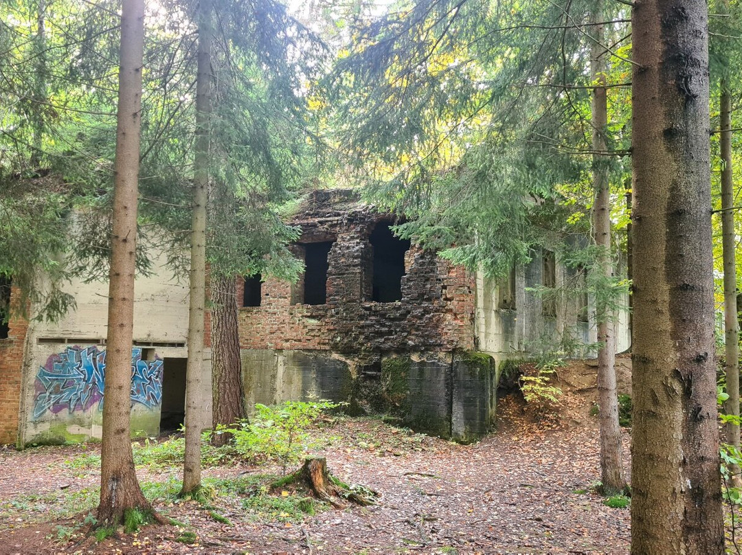 Underground Town Osowka-Gluszyca必去景点