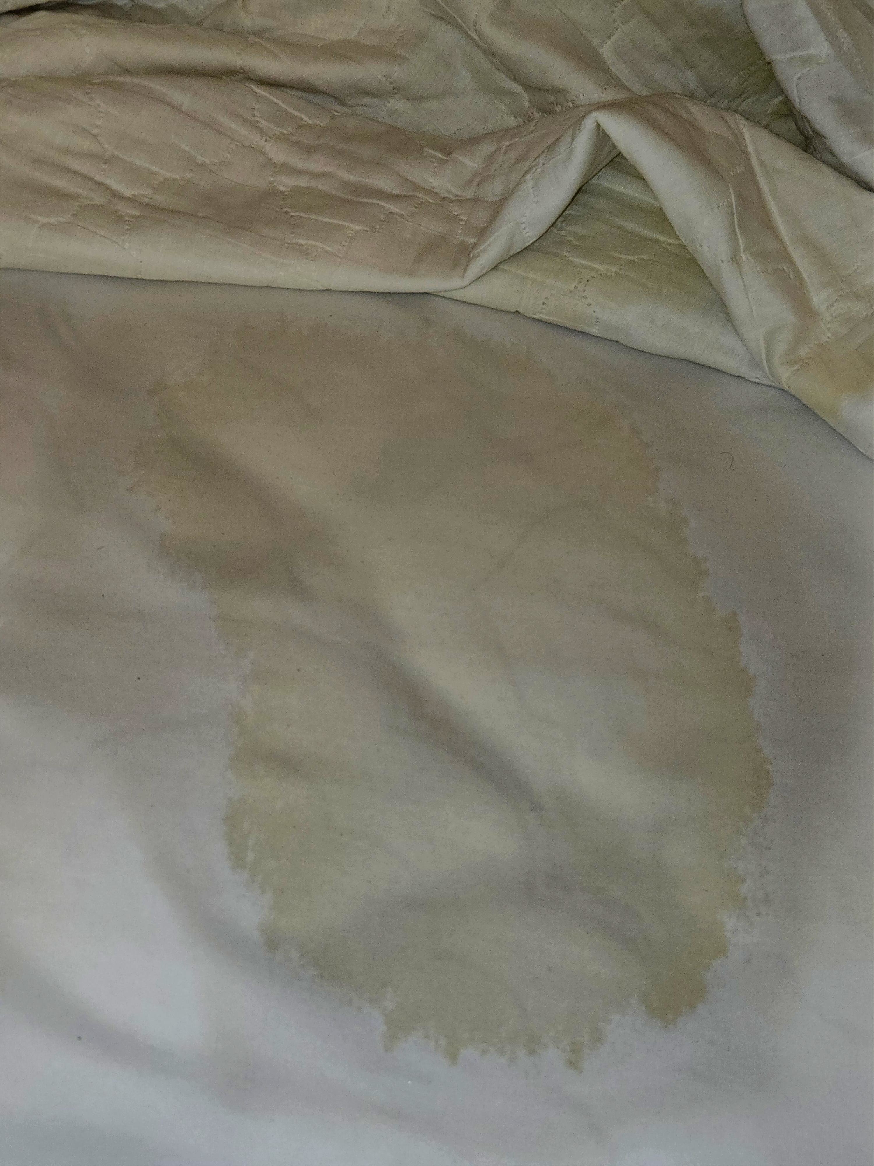 Pendry Chicago-客卧