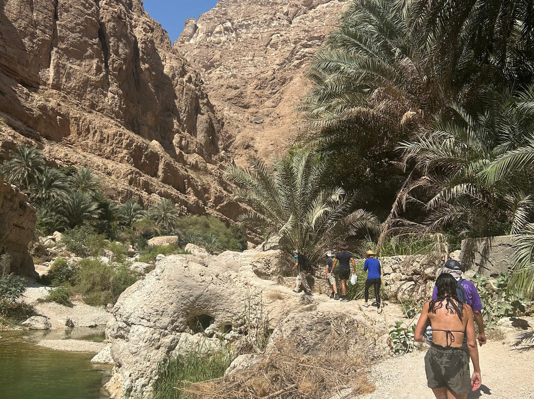 Muscat Nature Tours - Day Tours-马斯喀特必去景点