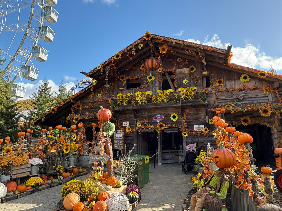 尼格罗主题游乐园-Dolancourt必去景点