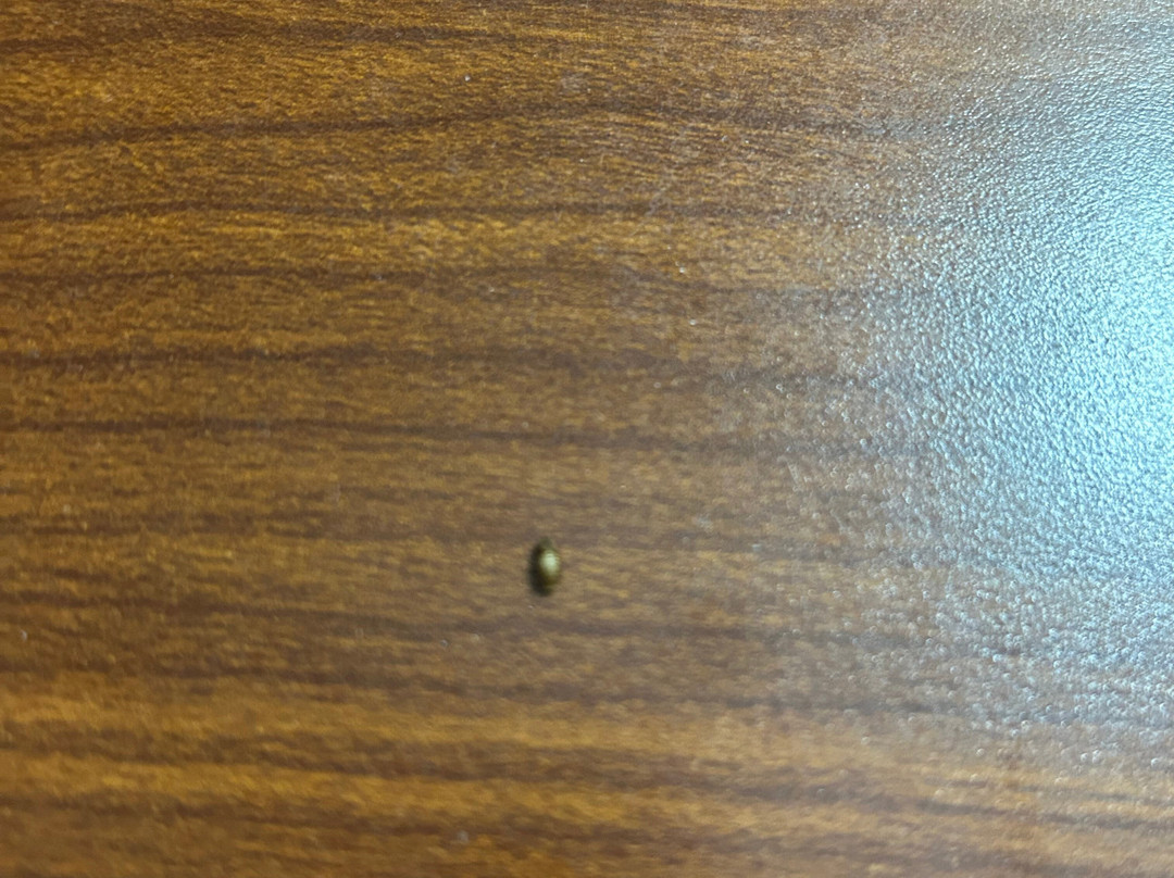 Days Inn by Wyndham Westminster主图