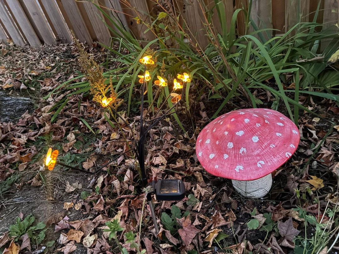 Nelson's Cottages主图