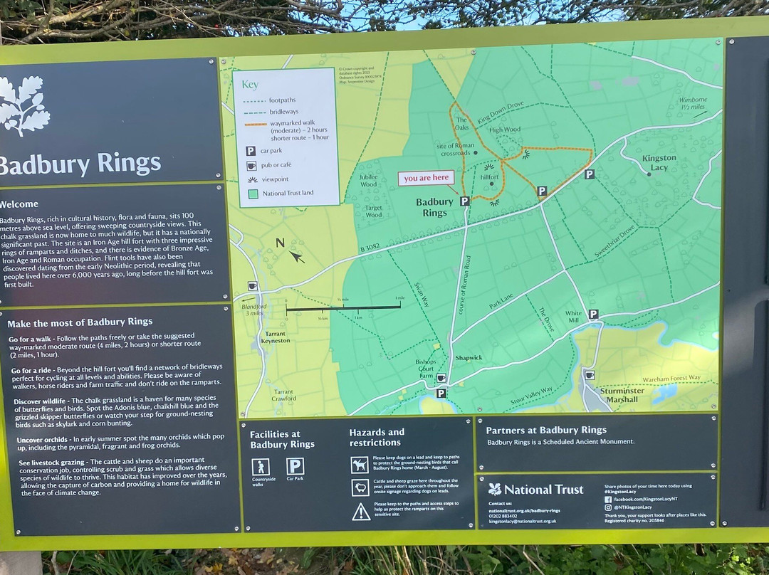 Badbury Rings-Wimborne Minster必去景点