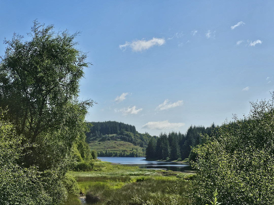 Three Lochs Forest Drive-Aberfoyle必去景点