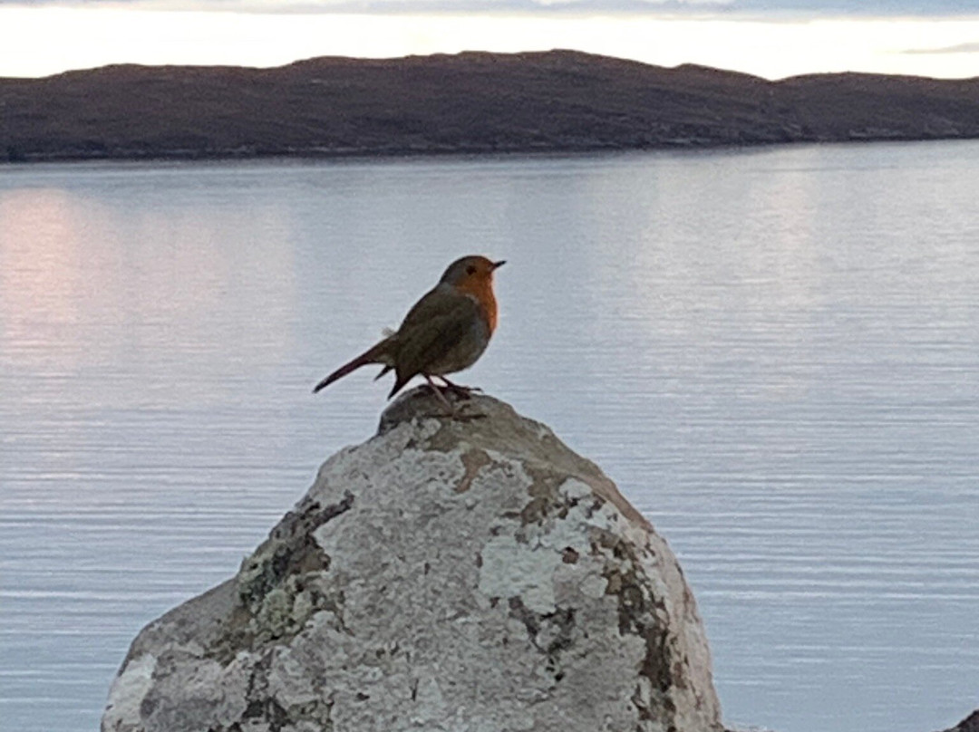 Hire a Motorhome in Moray-Keith必去景点