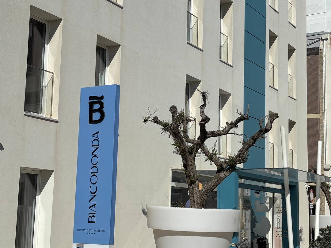 Biancodonda Lifestyle & SPA Hotel主图