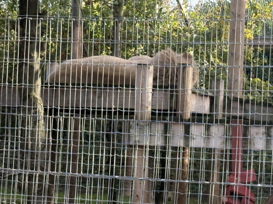 Lincolnshire Wildlife Park-Friskney必去景点