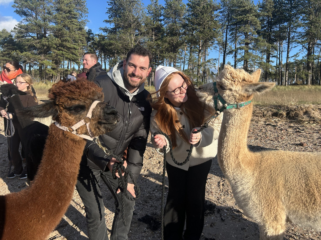 John Muir Alpacas-Dunbar必去景点