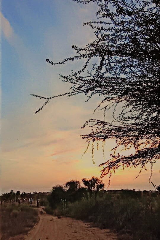 Sunset Nature view point - near jodhpur-Balesar必去景点