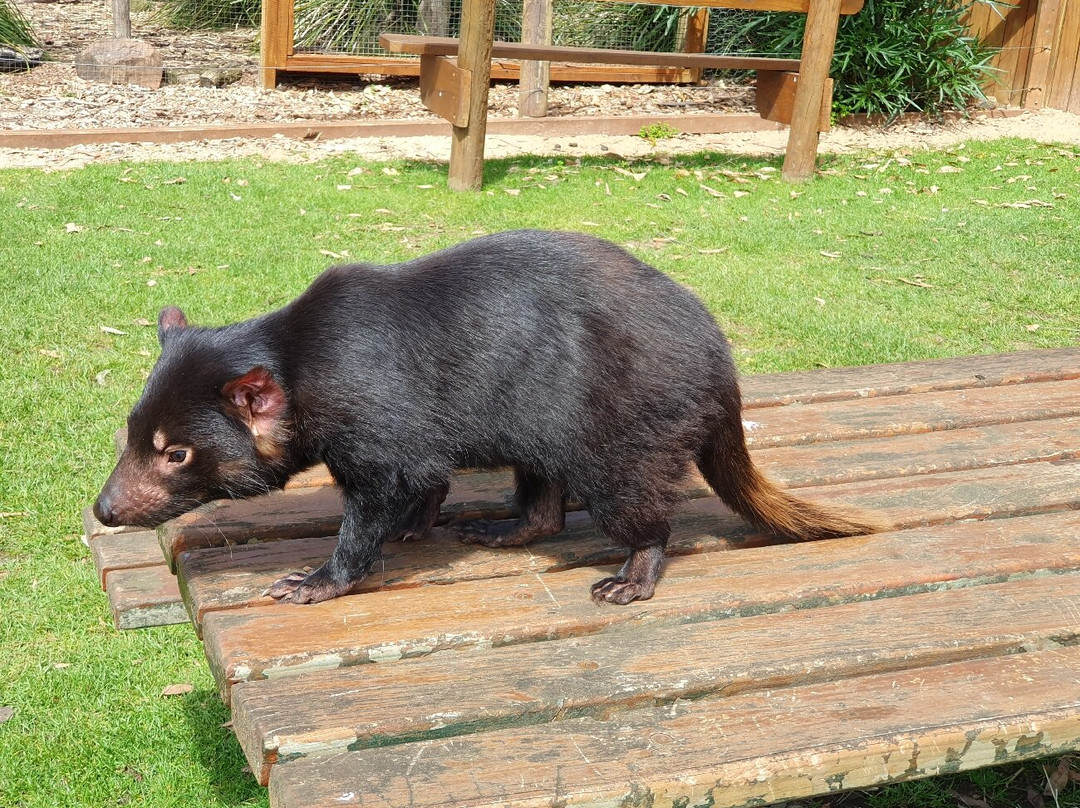 Pepper Bush Adventures - Day Tours-Scottsdale必去景点