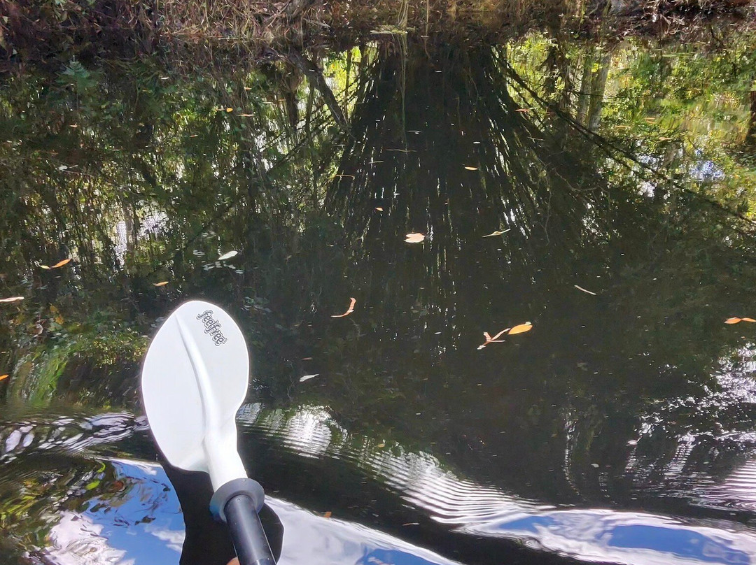 Shingle Creek Regional Park-基西米必去景点