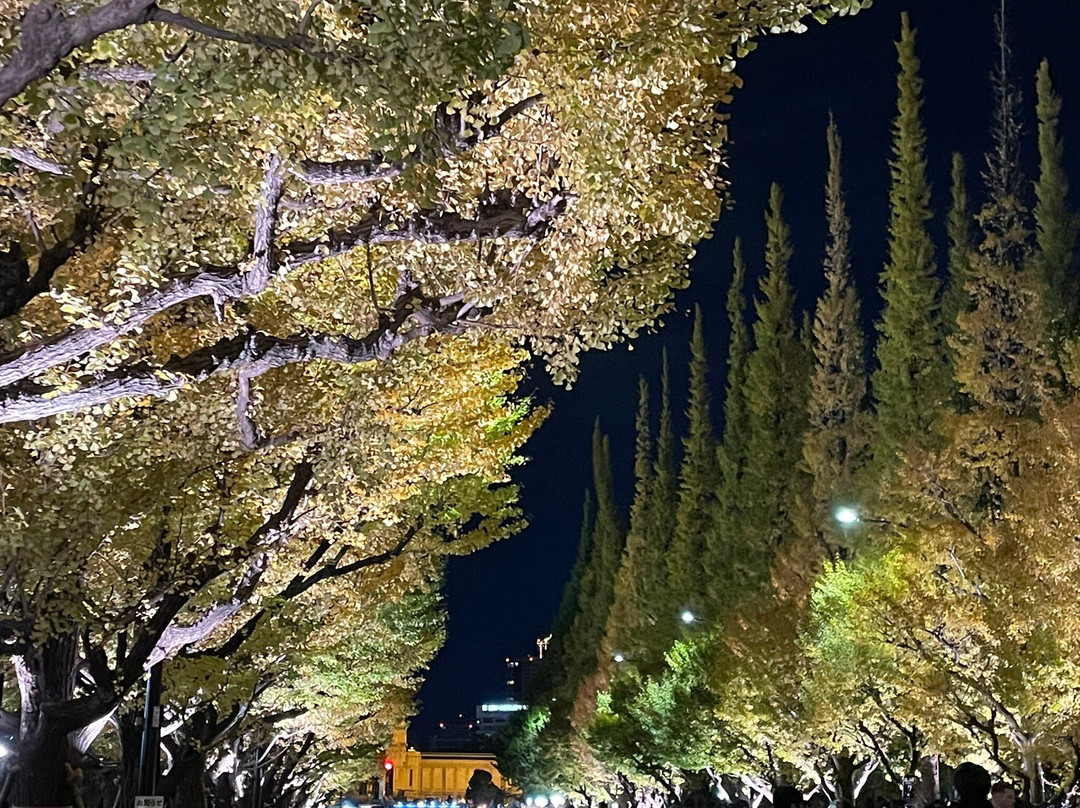 Jingu Gaien Ginkgo Tree-lined Street-港区必去景点