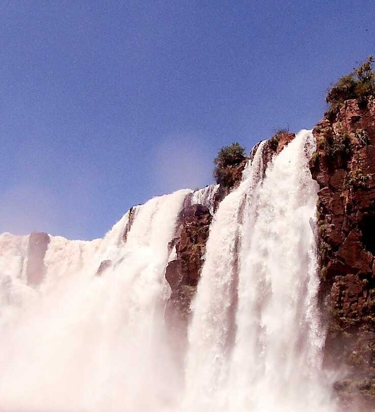Iguazu Jungle-伊瓜苏港必去景点